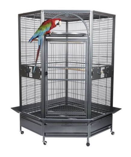 Rainforest Cages Toronto Large Corner Parrot Cage
